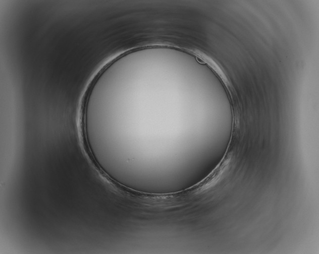 X0000102861149200808181020