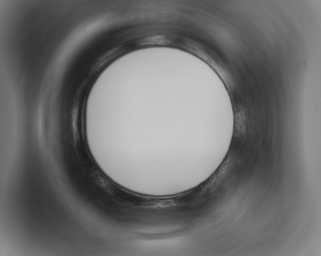 X0000102861150200808181020