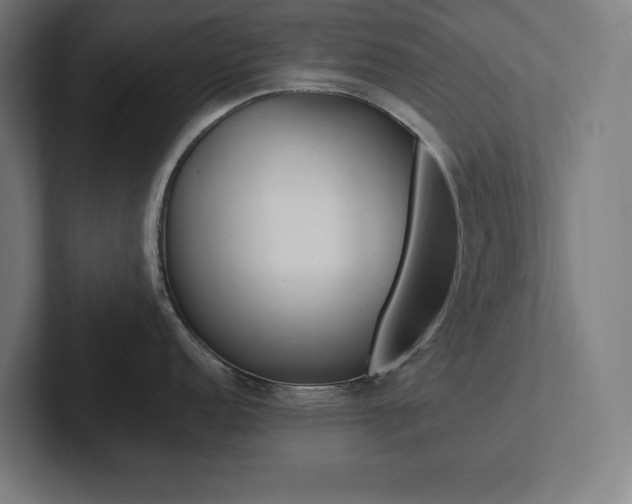 X0000102861152200808181020