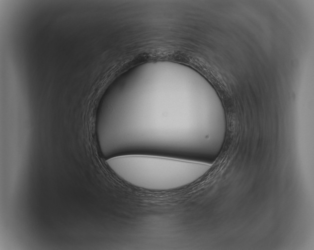 X0000102861153200808181019