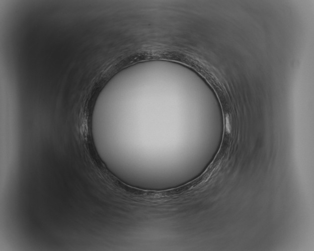 X0000102861155200808181019