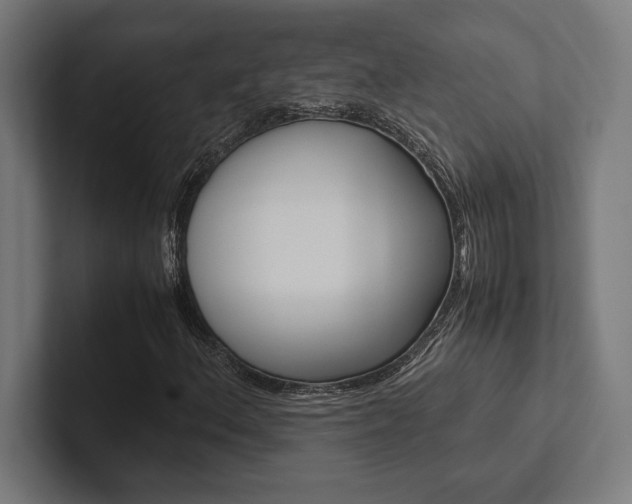 X0000102861156200808181019