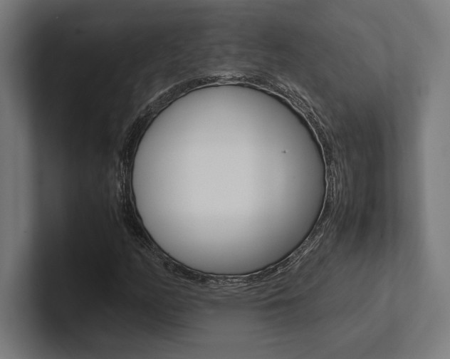 X0000102861158200808181019