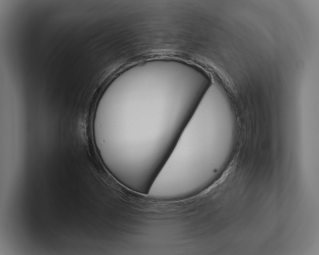 X0000102861162200808181019