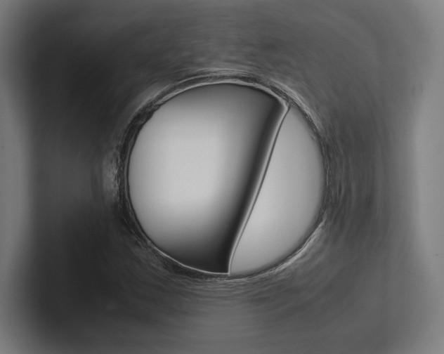 X0000102861163200808181019