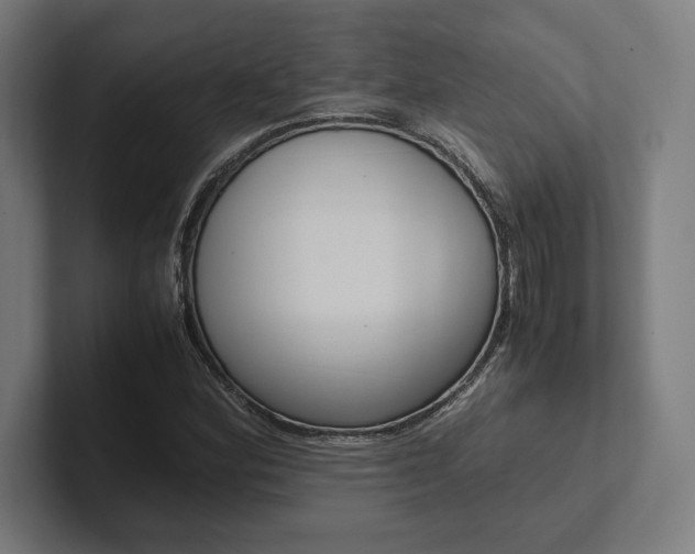 X0000102861164200808181019