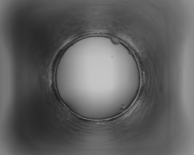 X0000102861165200808181019