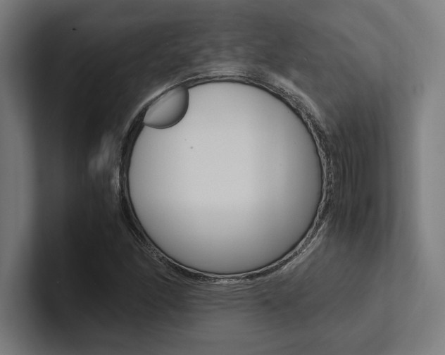 X0000102861166200808181019