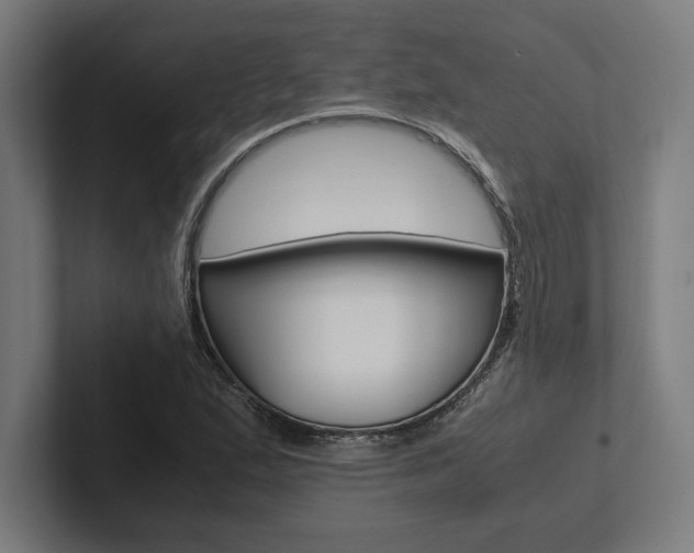 X0000102861167200808181019