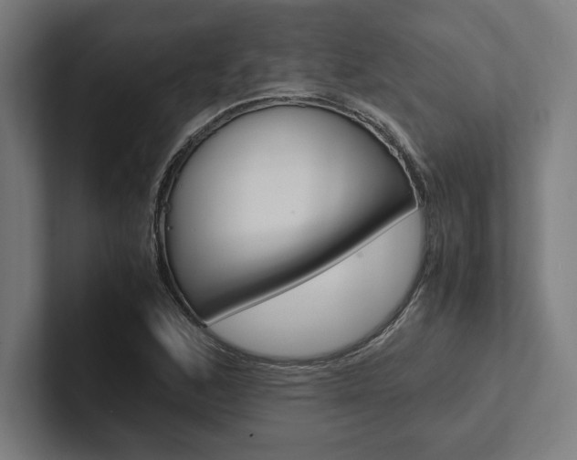 X0000102861168200808181019