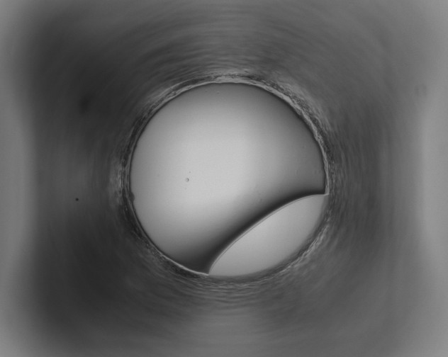 X0000102861169200808181019