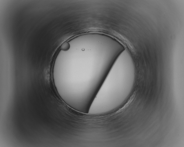 X0000102861170200808181019