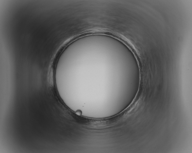 X0000102861171200808181019