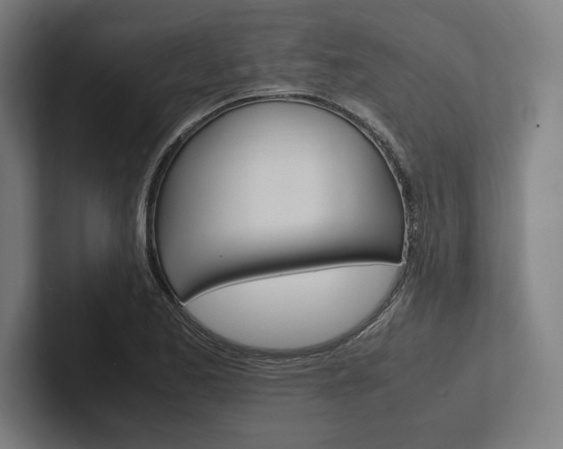 X0000102861173200808181019