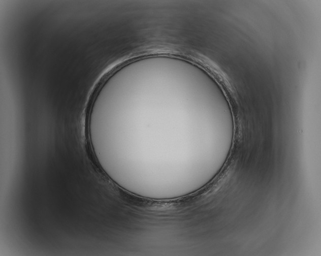 X0000102861174200808181019