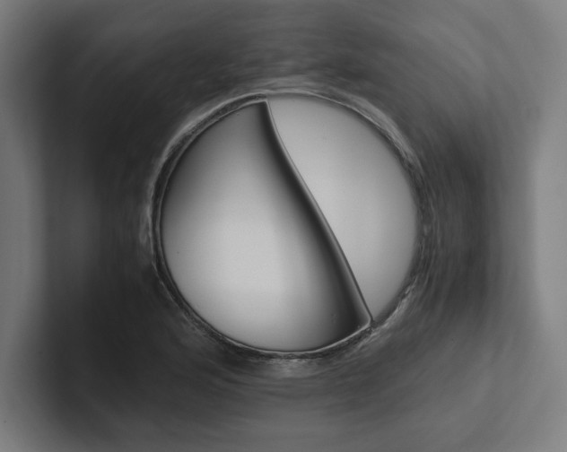 X0000102861176200808181019