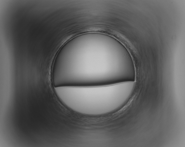 X0000102861177200808181019