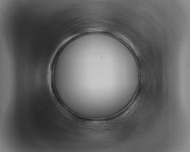 X0000102861179200808181019