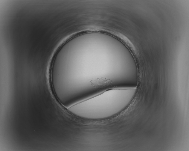X0000102861183200808181019