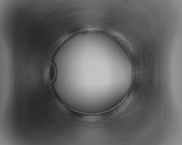 X0000102861185200808181019