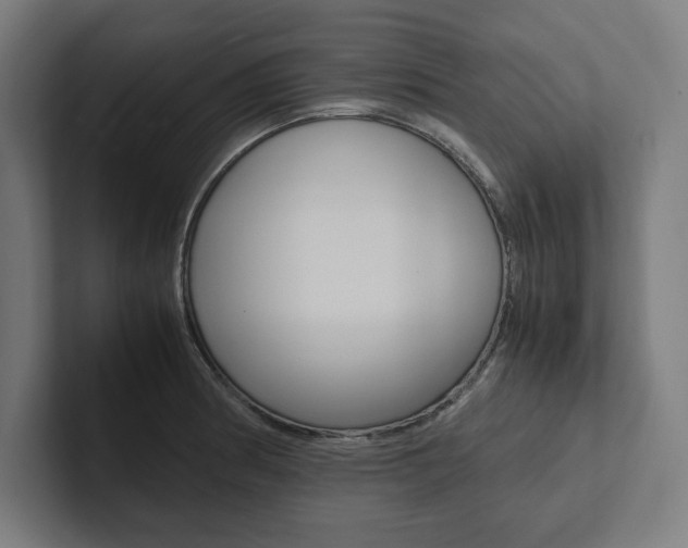 X0000102861186200808181019