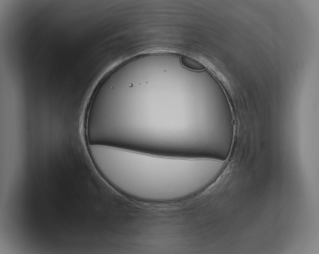 X0000102861189200808181019