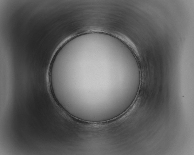 X0000102861190200808181019