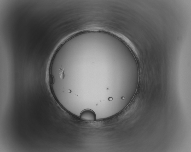 X0000102861191200808181019