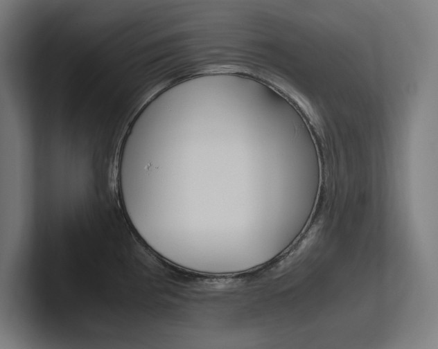 X0000102861193200808181019