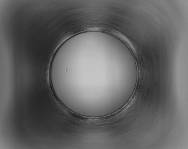 X0000102861194200808181019