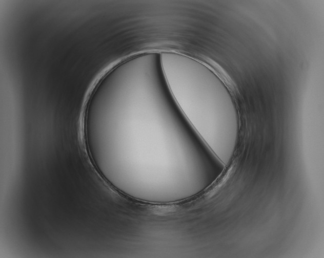 X0000102861196200808181019
