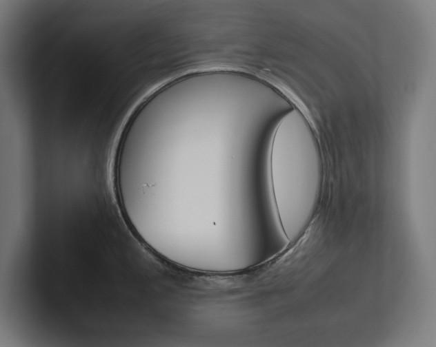 X0000102861197200808181019