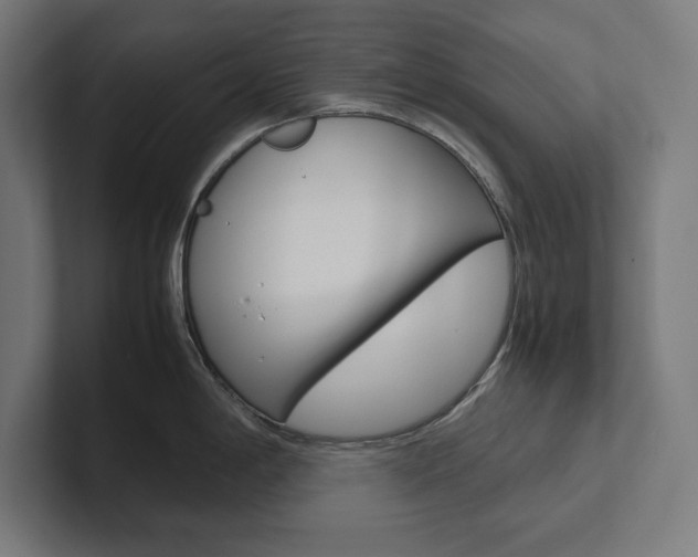 X0000102861198200808181019