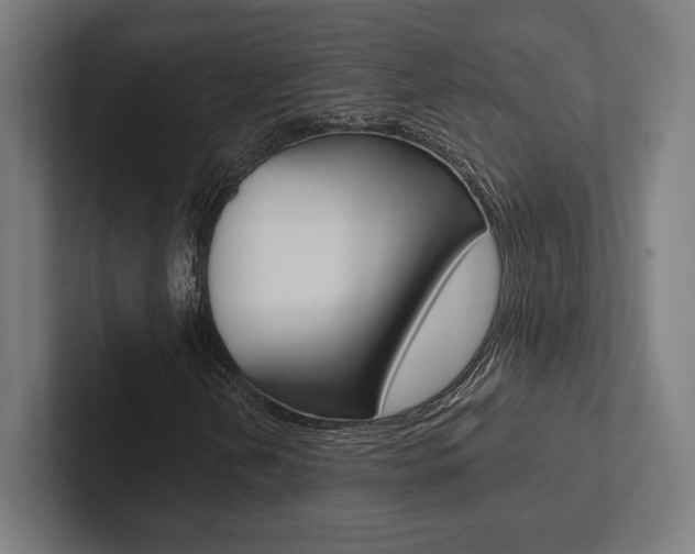 X0000102861202200808181018
