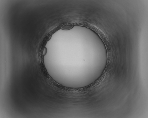 X0000102861207200808181018