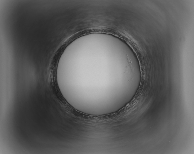 X0000102861208200808181018