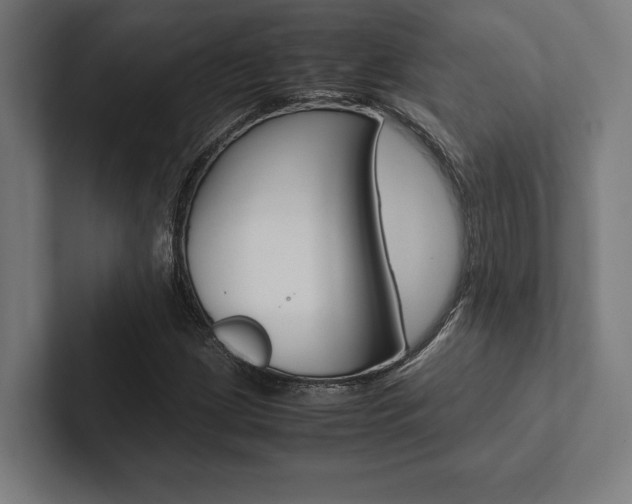 X0000102861209200808181018