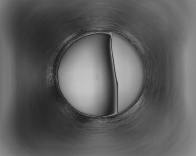 X0000102861210200808181018