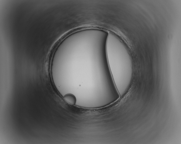 X0000102861216200808181018