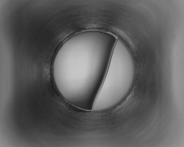 X0000102861217200808181018