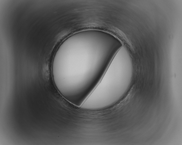 X0000102861218200808181018