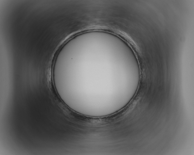 X0000102861220200808181018