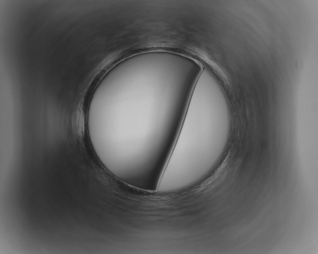 X0000102861221200808181018
