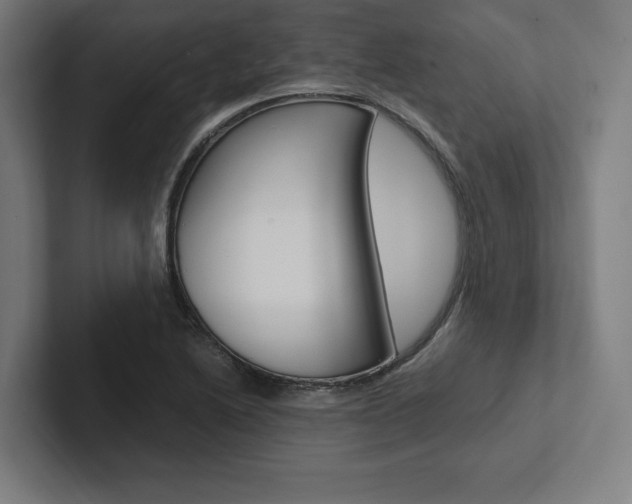 X0000102861222200808181018