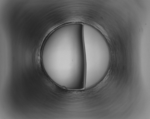 X0000102861226200808181018