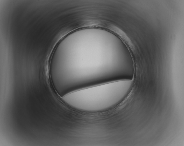 X0000102861234200808181019