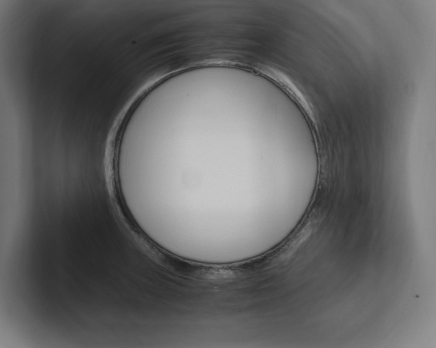 X0000102861235200808181019