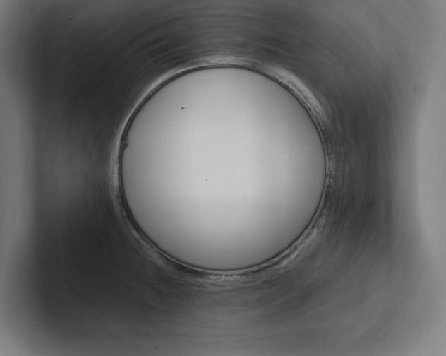X0000102861236200808181019