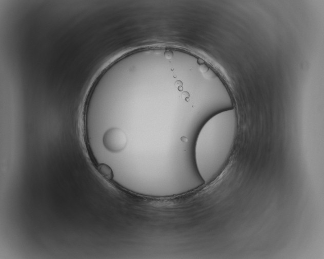 X0000102861239200808181019