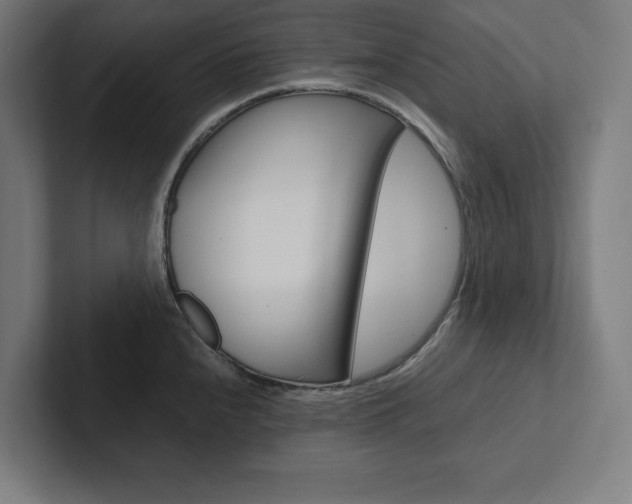 X0000102861240200808181019